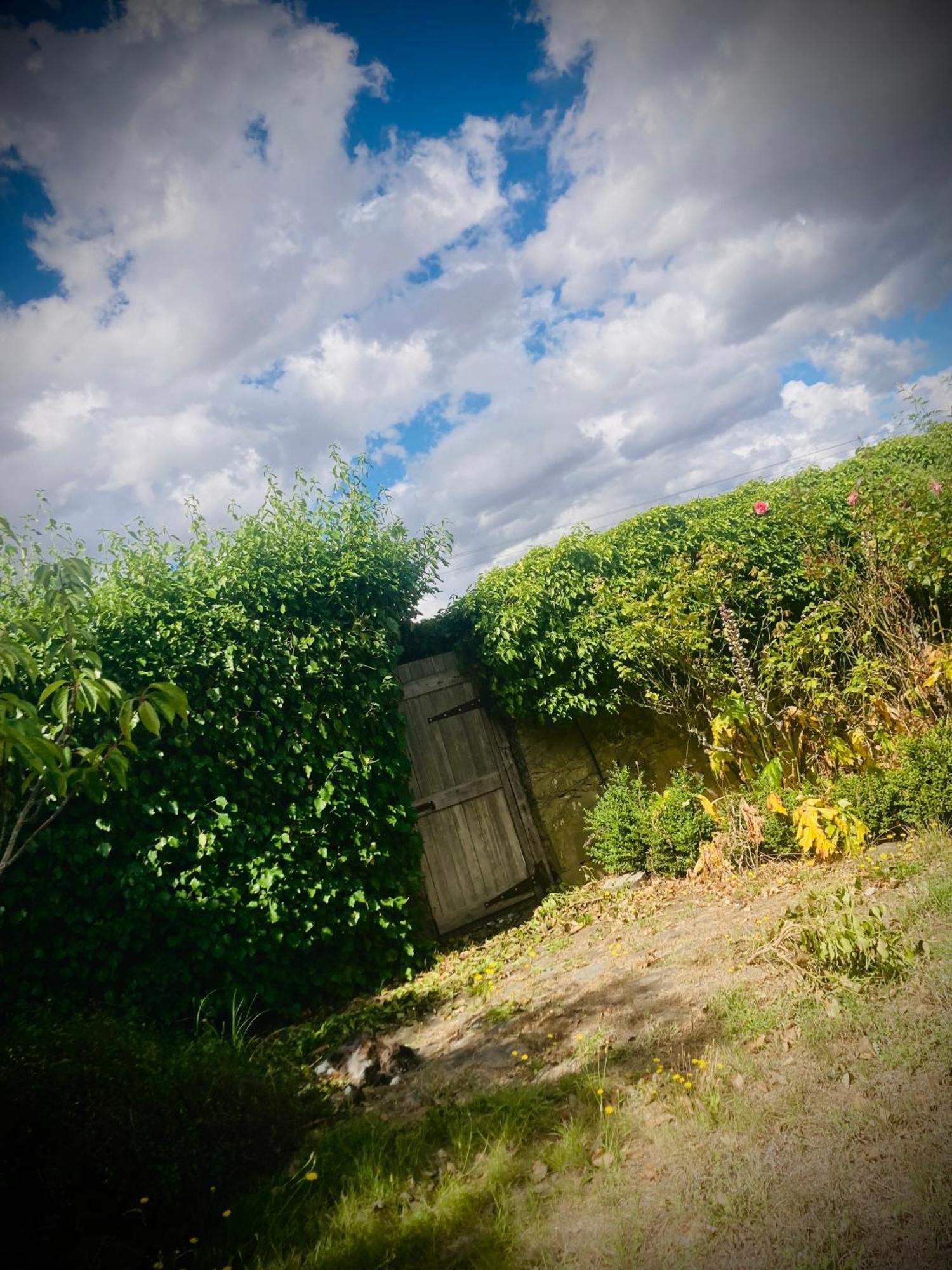 St Andrew'S Inn Conara Junction ภายนอก รูปภาพ