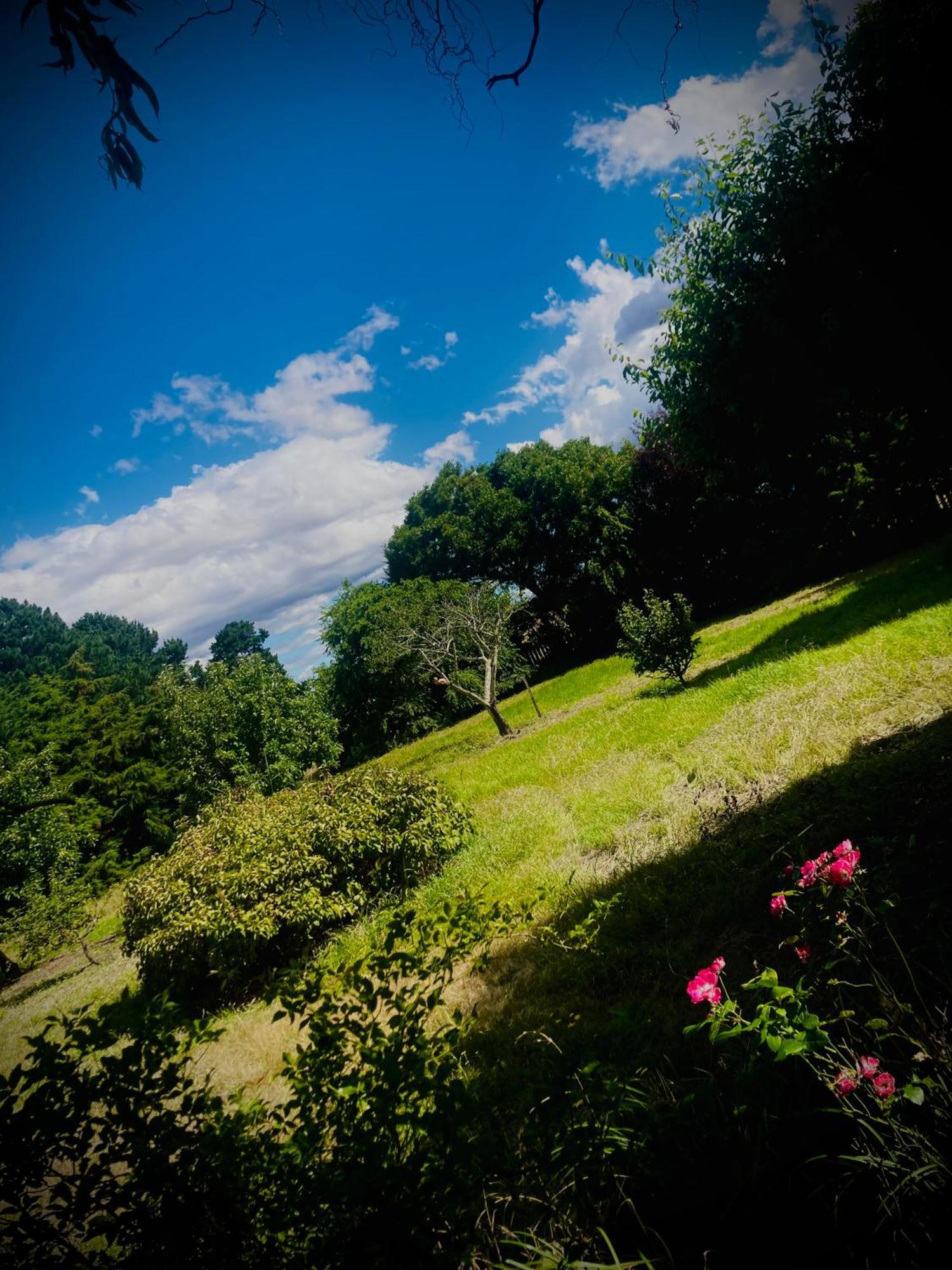 St Andrew'S Inn Conara Junction ภายนอก รูปภาพ